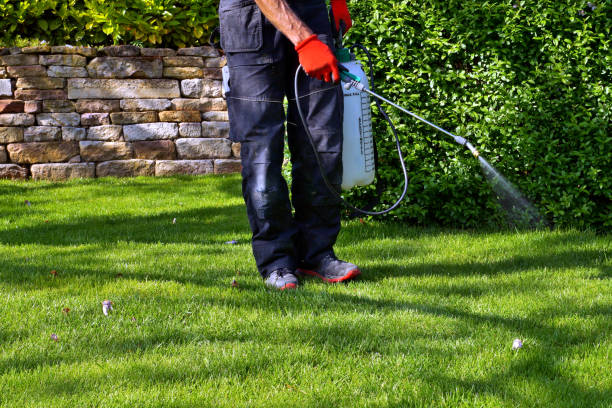 Outdoor Pest Control in Dallas, OR